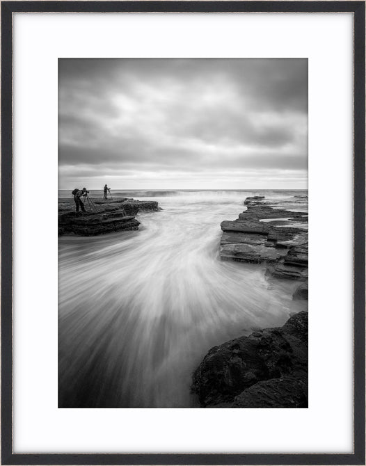 Turimetta Dreaming