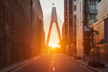 Color photograph sandstone quarry cliff Anzac Bridge residential towers Distillery Drive Pyrmont golden hour Sydney