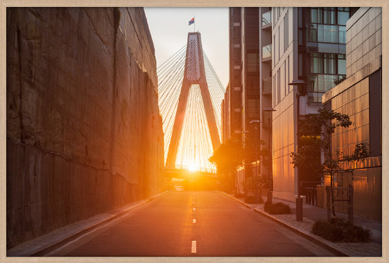 Golden Hour, Distillery Drive