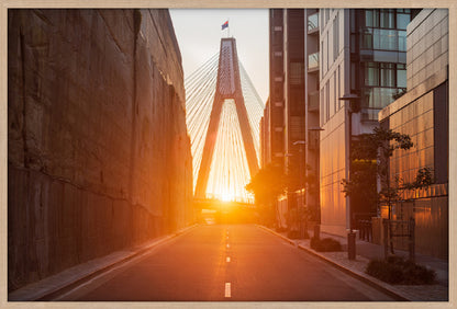 Golden Hour, Distillery Drive