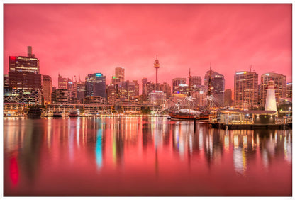Rose Dawn, Darling Harbour