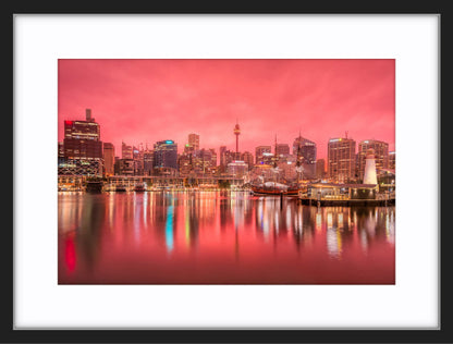 Rose Dawn, Darling Harbour