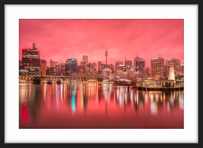 Rose Dawn, Darling Harbour