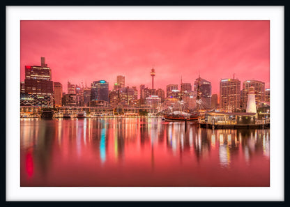 Rose Dawn, Darling Harbour