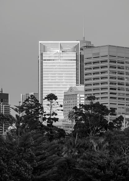 Black and white telephoto photograph of ANZ Tower Sydney framed by Domain tree silhouettes from Farm Cove morning light