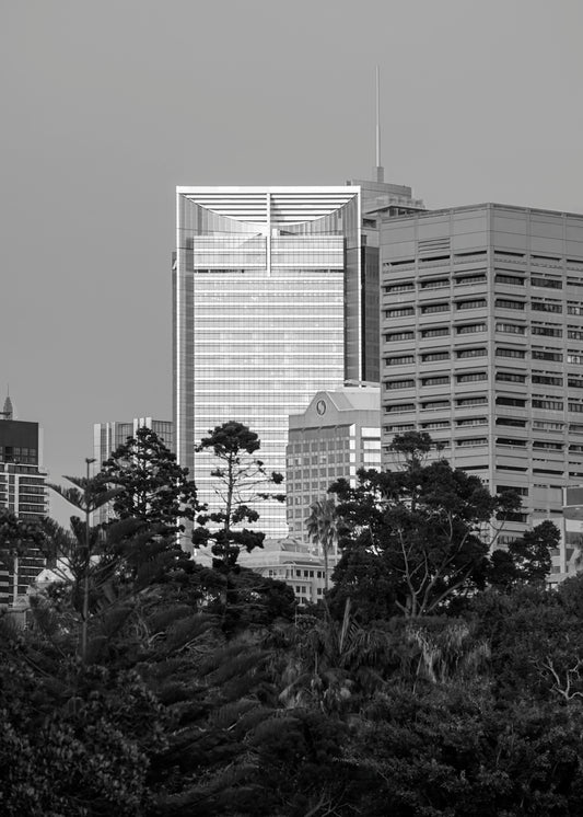 Black and white telephoto photograph of ANZ Tower Sydney framed by Domain tree silhouettes from Farm Cove morning light