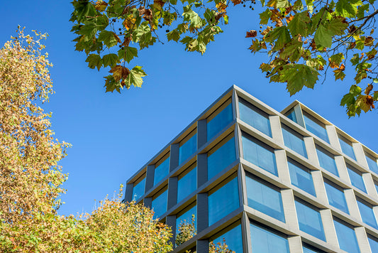 Color autumn photograph Bowman Street Pyrmont vibrant foliage architecture trees Sydney calendar photography