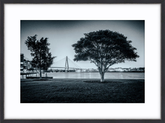 Teatree at Dusk, Jacksons Landing
