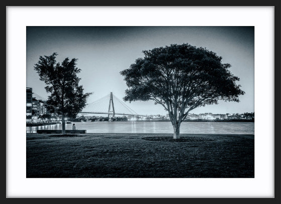 Teatree at Dusk, Jacksons Landing
