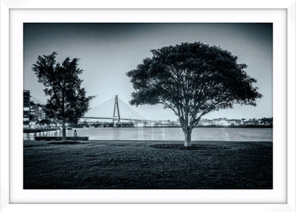 Teatree at Dusk, Jacksons Landing