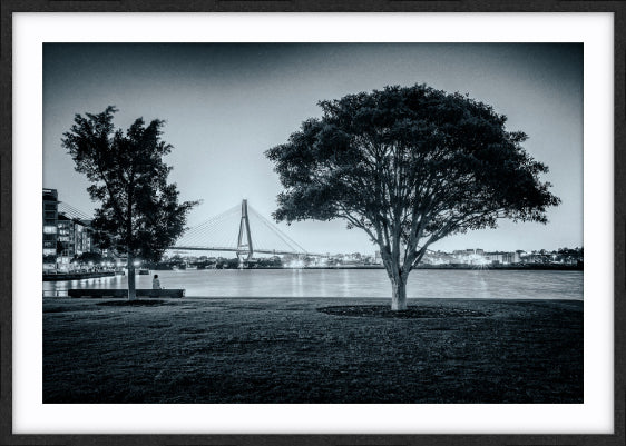 Teatree at Dusk, Jacksons Landing