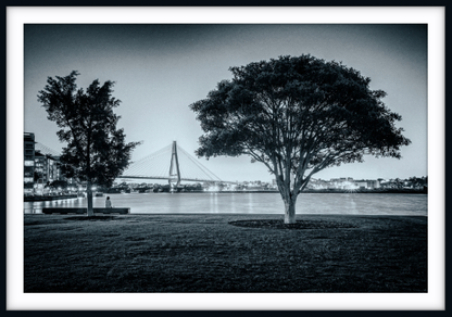 Teatree at Dusk, Jacksons Landing
