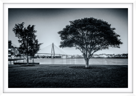 Teatree at Dusk, Jacksons Landing