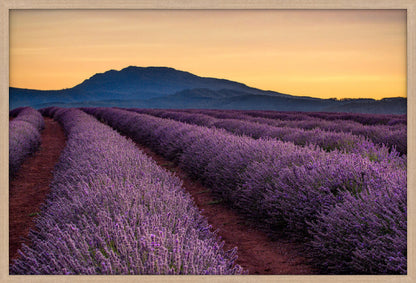 Bridestowe