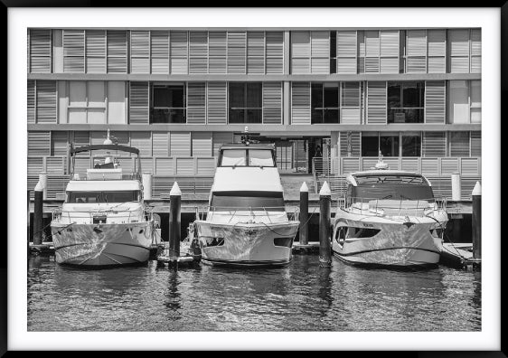 Three Cruisers, Pyrmont