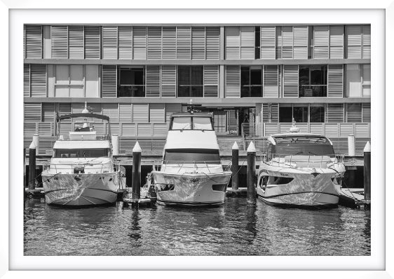 Three Cruisers, Pyrmont
