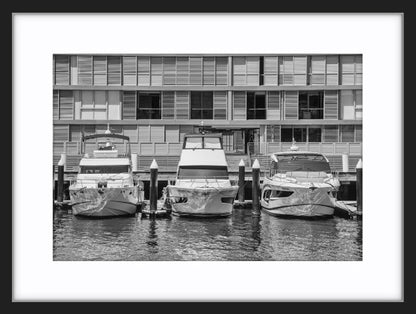 Three Cruisers, Pyrmont