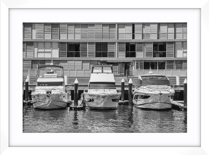 Three Cruisers, Pyrmont