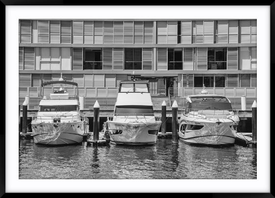 Three Cruisers, Pyrmont