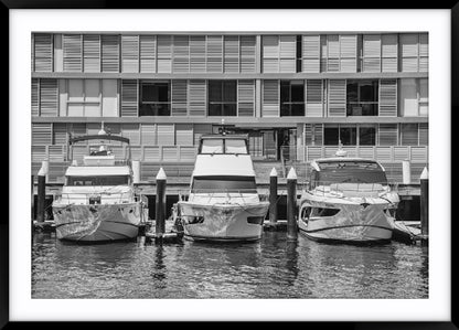 Three Cruisers, Pyrmont