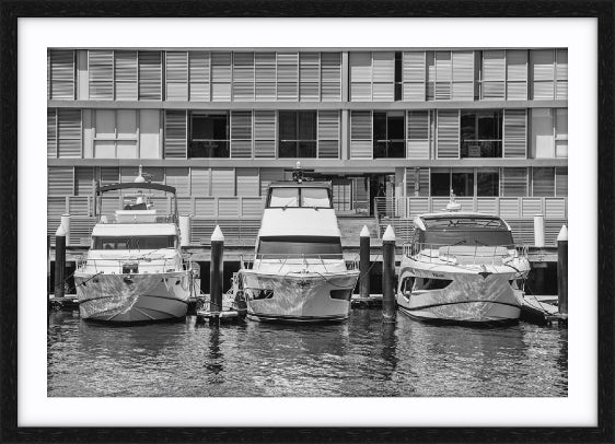 Three Cruisers, Pyrmont