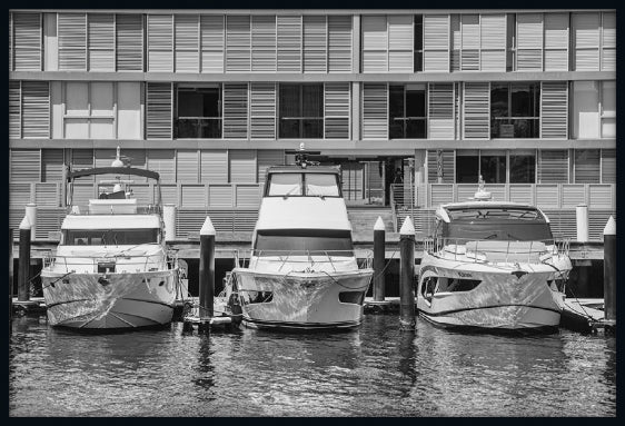 Three Cruisers, Pyrmont