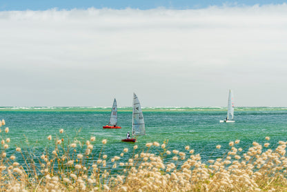 Inverloch Beach sailing race Victoria Bass Coast with calm green water seagrass and dinghies