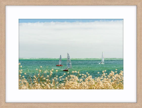 Inverloch Tasars Pt 1