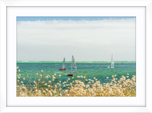 Inverloch Tasars Pt 1