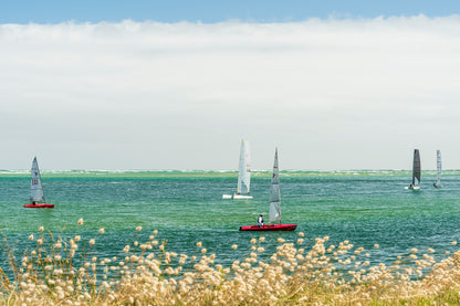 Inverloch dinghy sailing race Victoria Bass Coast with green water seagrass and colorful boats