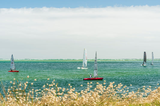 Inverloch dinghy sailing race Victoria Bass Coast with green water seagrass and colorful boats