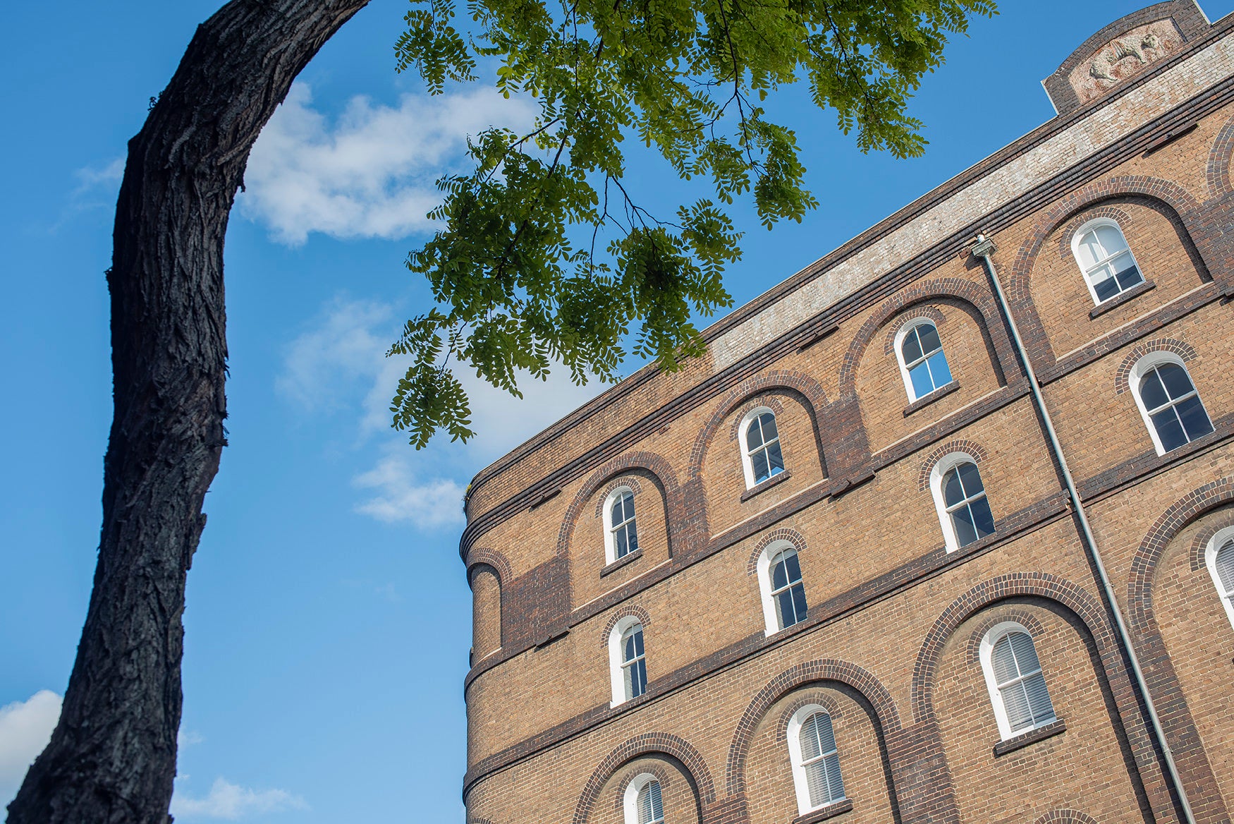 Color photograph John Taylor wool store 1893 Pyrmont historic architecture repeating arches heritage building Sydney