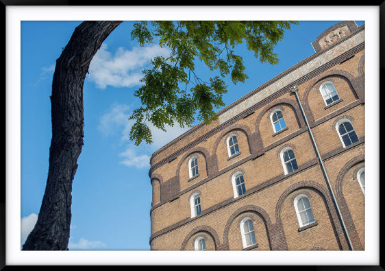 John Taylor 1893