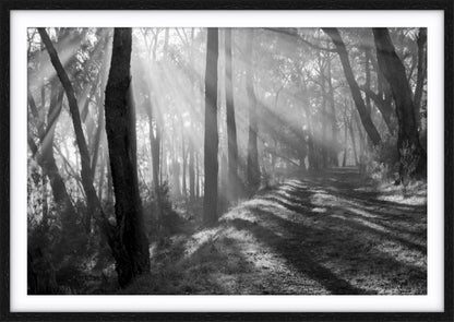 Pathway of Promise