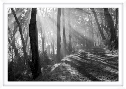 Pathway of Promise