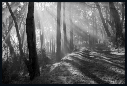 Pathway of Promise
