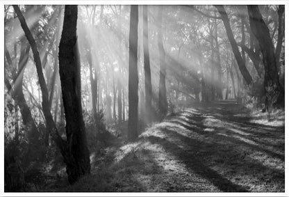 Pathway of Promise
