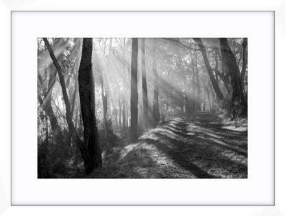 Pathway of Promise