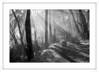 Pathway of Promise