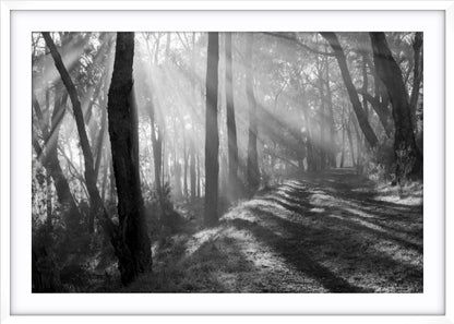 Pathway of Promise