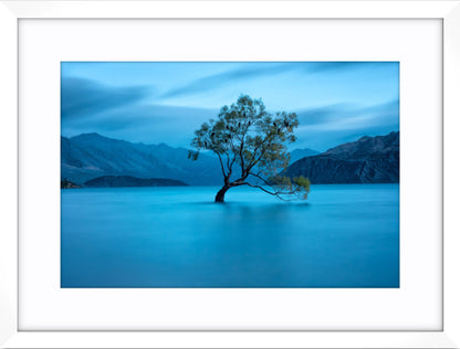 Lake Wanaka Dawn