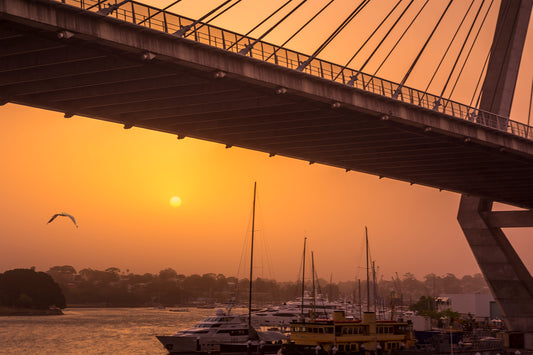 Surreal amber sky during Sydney bushfire season with warm golden tones and atmospheric smoke haze