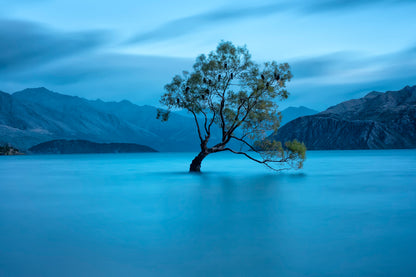 Lake Wanaka New Zealand dawn long exposure with moody blue tones and calm water under stormy sky