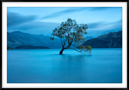 Lake Wanaka Dawn