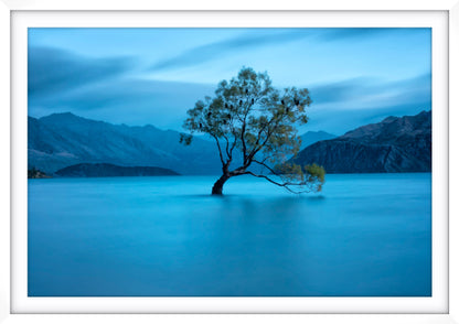 Lake Wanaka Dawn