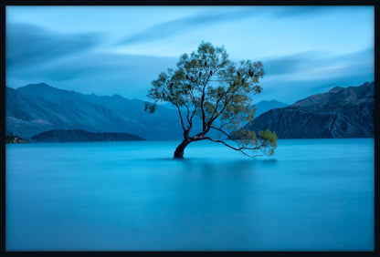 Lake Wanaka Dawn