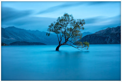 Lake Wanaka Dawn