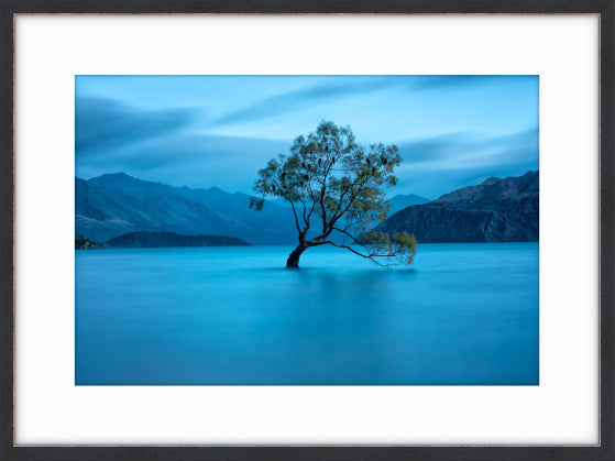 Lake Wanaka Dawn