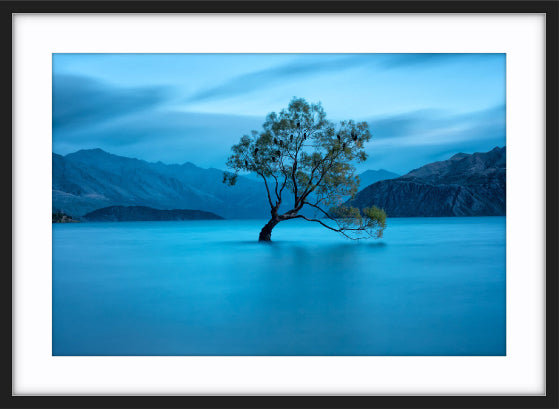 Lake Wanaka Dawn