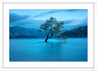 Lake Wanaka Dawn